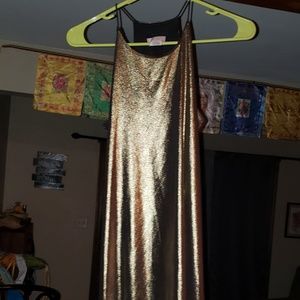 Love...Ady Liquid/Flare Metallic Dress